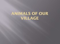 Презентация Животные нашего села
