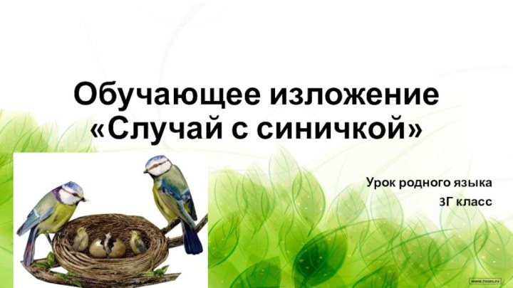 Обучающее изложение  «Случай с синичкой»Урок родного языка3Г класс