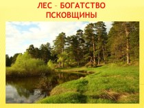 Презентация к конспекту Лес - богатство Псковщины