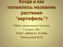 Когда и как появилось название растения картофель? (1 класс НПК)