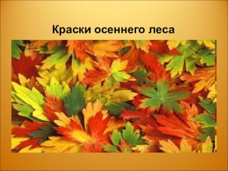 Презентация к докладу !Формирование УУД на уроках русского языка в начальной школе