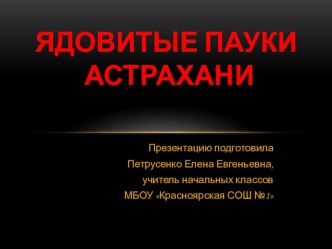 Презентация по окружающему миру на тему: Ядовитые пауки в Астрахани.