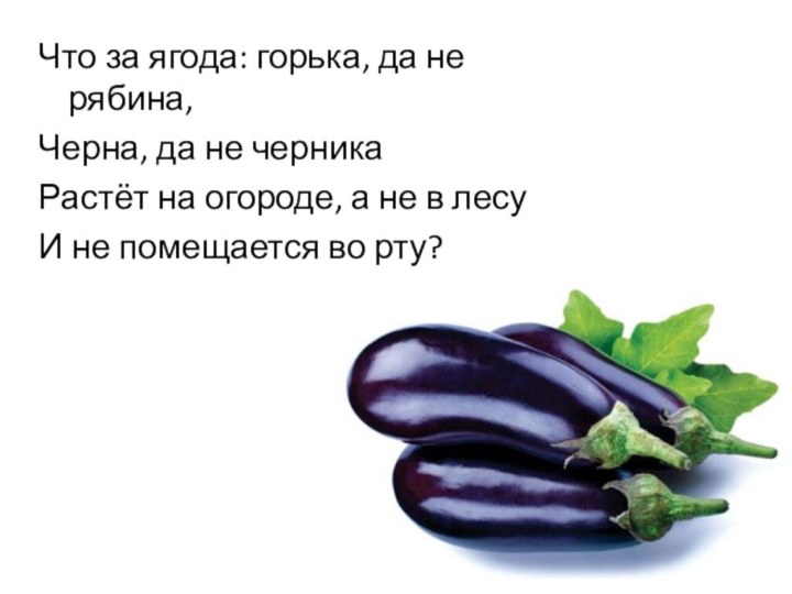 Что за ягода: горька, да не рябина,Черна, да не черникаРастёт на огороде,