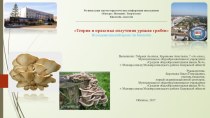 Теория и практика получения урожая грибов