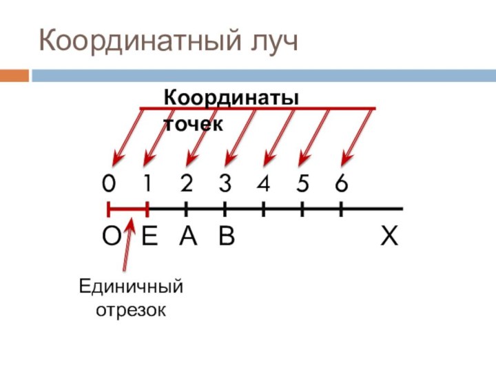 Координатный лучОАЕ1В032654ХЕдиничный отрезок Координаты точек