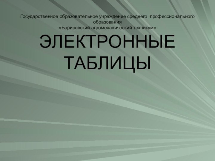 Государственное образовательное учреждение среднего профессионального образования «Борисовский агромеханический техникум» ЭЛЕКТРОННЫЕ ТАБЛИЦЫ