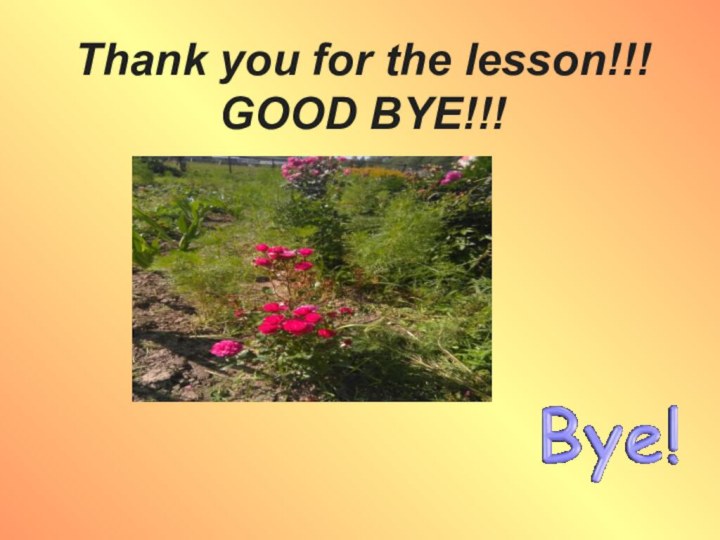 Thank you for the lesson!!! GOOD BYE!!!