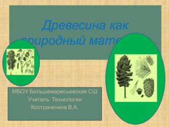 Презентация по Технологии . Древесина. Строение. 5класс