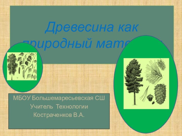 Древесина как природный материалМБОУ Большемаресьевская СШУчитель ТехнологииКостраченков В.А.