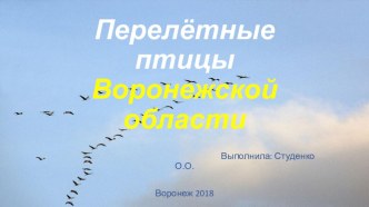 Презентация по ознакомлению с окружающим миром на тему : Перелетные птицы Воронежской области