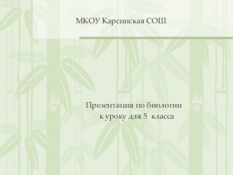 Презентация по биологии на тему Разнообразие и значение растений