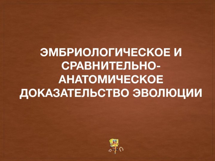 ЭМБРИОЛОГИЧЕСКОЕ И СРАВНИТЕЛЬНО-АНАТОМИЧЕСКОЕ ДОКАЗАТЕЛЬСТВО ЭВОЛЮЦИИ