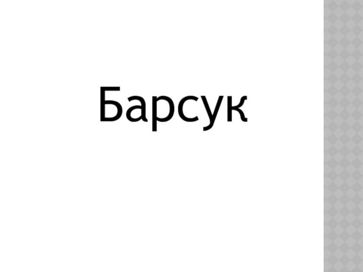 Барсук