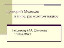 Презентация по литературе на тему Изучение романа-эпопеи М.Шолохова Тихий Дон (11 класс)