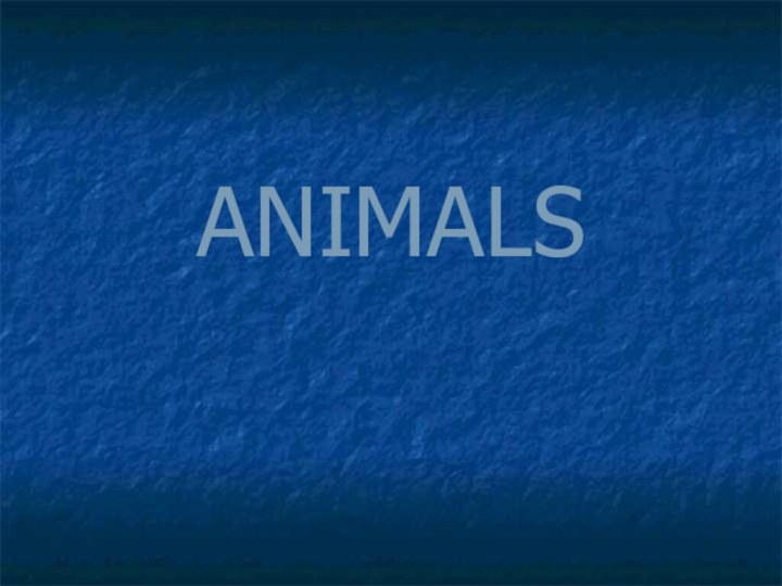 ANIMALS