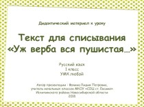 Текст для списывания Уж верба вся пушистая…