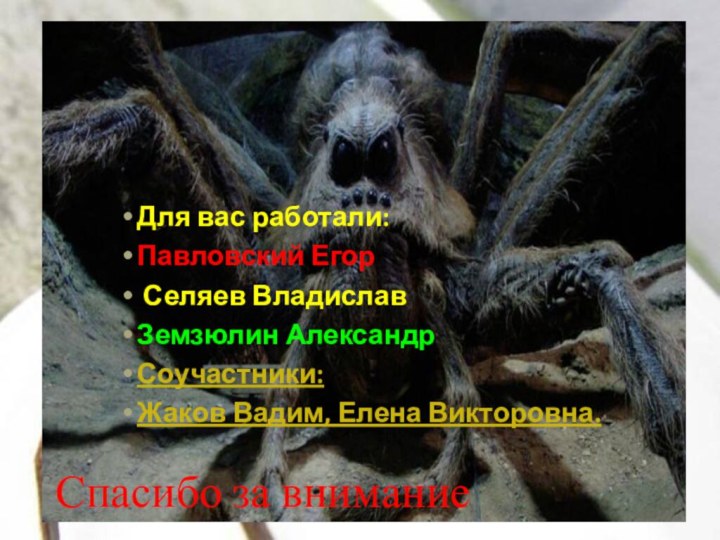 Спасибо за вниманиеДля вас работали: Павловский Егор Селяев ВладиславЗемзюлин АлександрСоучастники: Жаков Вадим, Елена Викторовна.