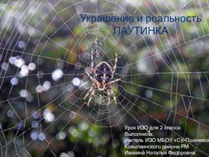 Украшение и реальностьПАУТИНКАУрок ИЗО для 2 классаВыполнила:учитель ИЗО МБОУ «Ст.-Пшеневская СОШ»Ковылкинского района РМИвакина Наталья Федоровна