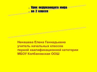 Урок окружающего мира во 2 классе  Дикие и домашние животные