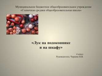 Презентация проект на тему Лук на подоконнике и на шкафу