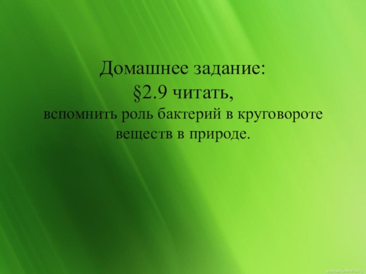 Домашнее задание: §2.9 читать,  вспомнить роль бактерий в круговороте веществ в природе.