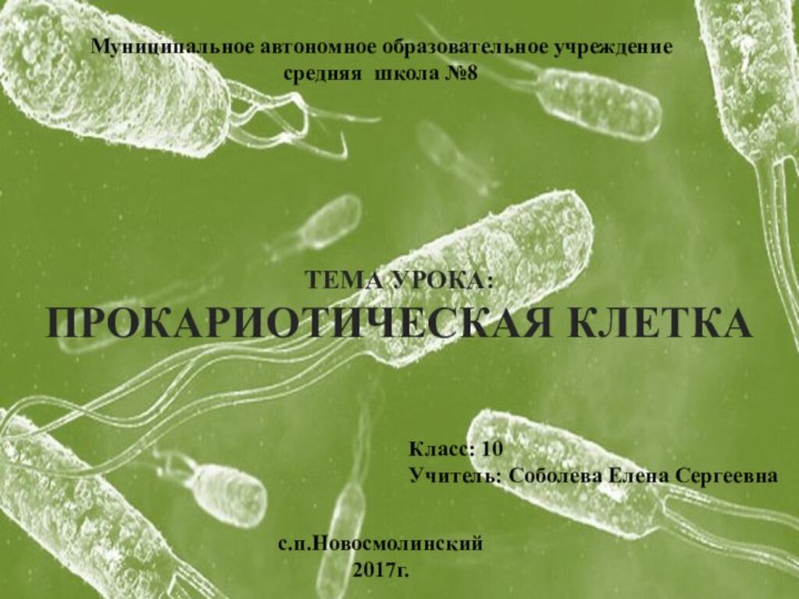 Тема урока:Прокариотическая клеткаМуниципальное автономное образовательное учреждение средняя школа №8 Класс: 10Учитель: Соболева Елена Сергеевнас.п.Новосмолинский2017г.