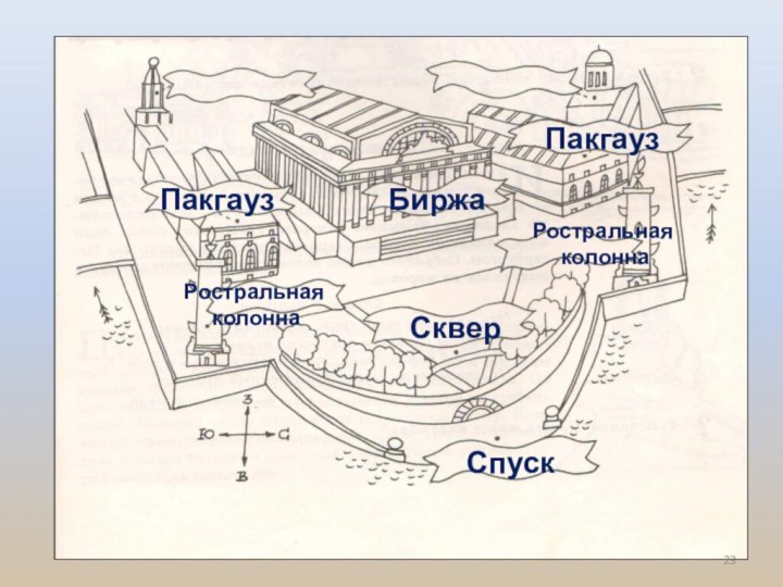 БиржаПакгаузПакгаузРостральная колоннаРостральная колоннаСкверСпуск