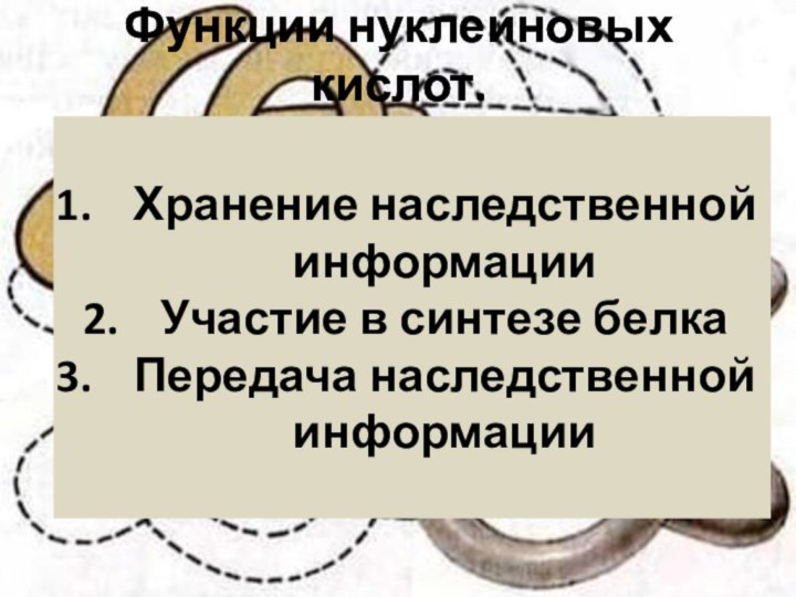 Функции нуклеиновых кислот.Хранение наследственной информацииУчастие в синтезе белкаПередача наследственной информации