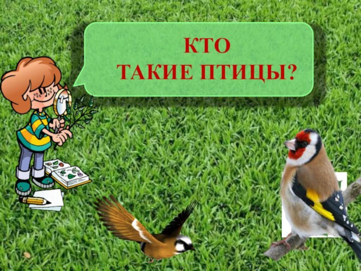 КТО  ТАКИЕ ПТИЦЫ?