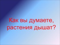 Презентация 6 класс ФГОС Дыхание растений