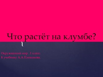 Презентация по окружающему миру на тему  Что растёт на клумбах (1 класс)