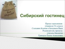 Презентация проекта по биологии Сибирский гостинец