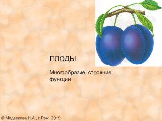 Презентация по теме Плоды