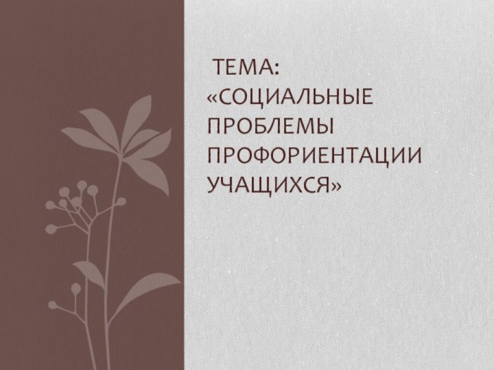  Тема:  «Социальные проблемы профориентации учащихся»