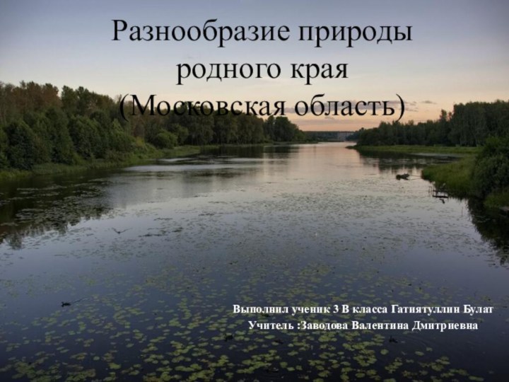 Разнообразие природы  родного края       (Московская