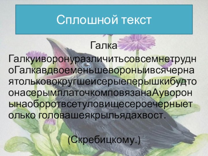 Сплошной текстГалкаГалкуиворонуразличитьсовсемнетрудноГалкавдвоеменьшевороныивсячернаятольковокругшеисерыеперышкибудтоонасерымплаточкомповязанаАуворонынаоборотвсетуловищесероечерныетолько головашеякрыльядахвост.