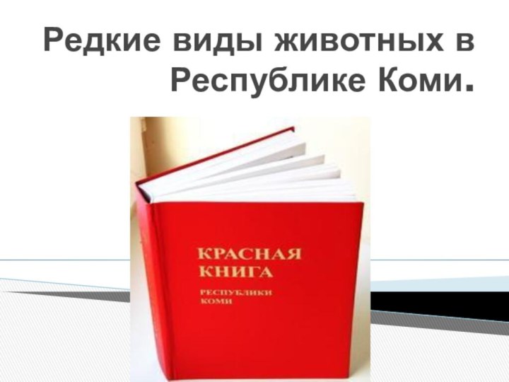 Редкие виды животных в Республике Коми.