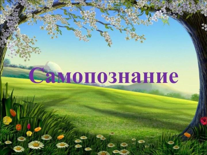 Самопознание