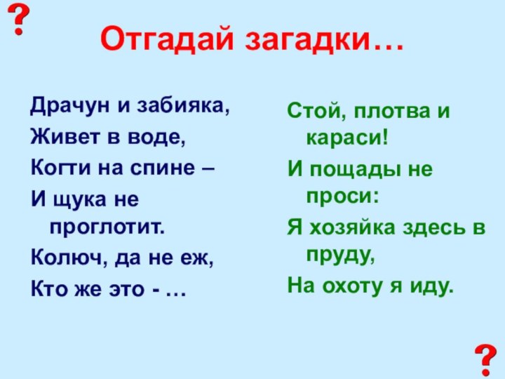 Отгадай загадки…Драчун и забияка,Живет в воде,Когти на спине –И щука не проглотит.Колюч,