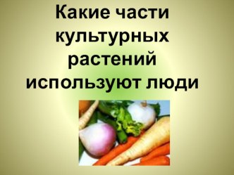 Презентация к уроку окружающего мира по теме Какие части культурных растений используют люди в пищу