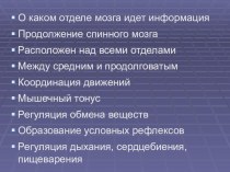 Презентация к уроку биологии в 8 классе по теме Вегетативная нервная система