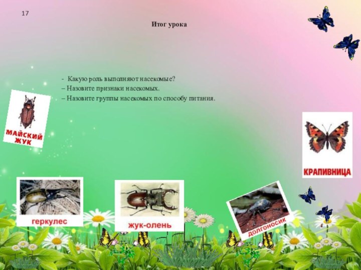 Итог урока- Какую роль выполняют насекомые?– Назовите признаки насекомых.– Назовите группы насекомых по способу питания.17
