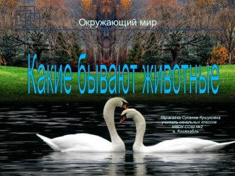 Презентация по окружающему миру на тему Какие бывают животные (2 класс)