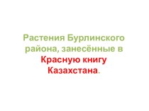 Презентация по Познанию мира Растения Бурлинского района, занесенные в Красную книгу Казахстана.