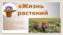 Архив жизнь растений для детей с легкой умственной отсталостью