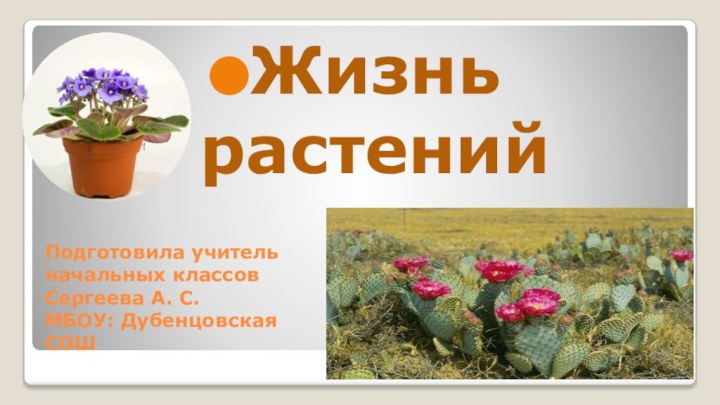Подготовила учитель начальных классов Сергеева А. С. МБОУ: Дубенцовская СОШЖизнь  растений