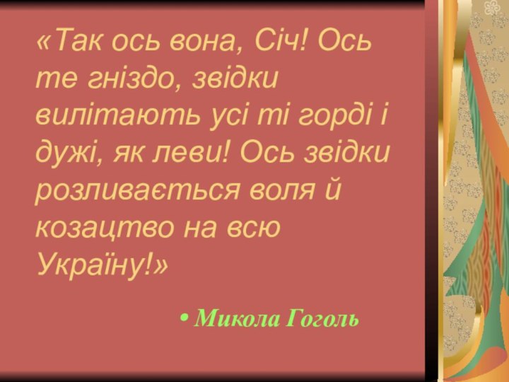 «Так ось вона, Січ! Ось те гніздо, звідки вилітають усі ті горді