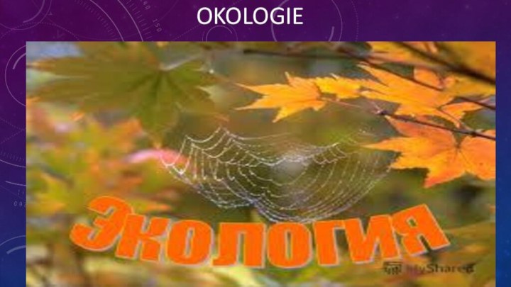 Okologie