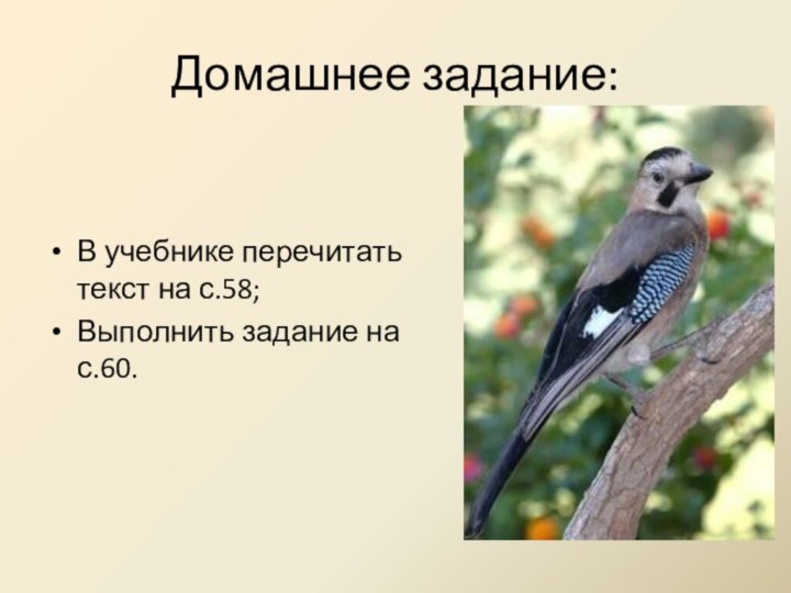 Домашнее задание:В учебнике перечитать текст на с.58;Выполнить задание на с.60.