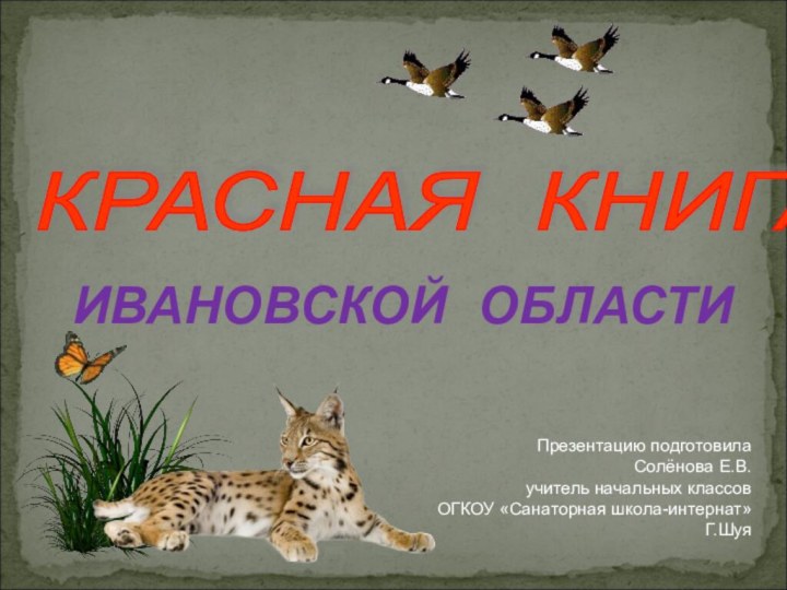 ИВАНОВСКОЙ  ОБЛАСТИКРАСНАЯ  КНИГА Презентацию подготовила Солёнова Е.В.учитель начальных классовОГКОУ «Санаторная школа-интернат»Г.Шуя